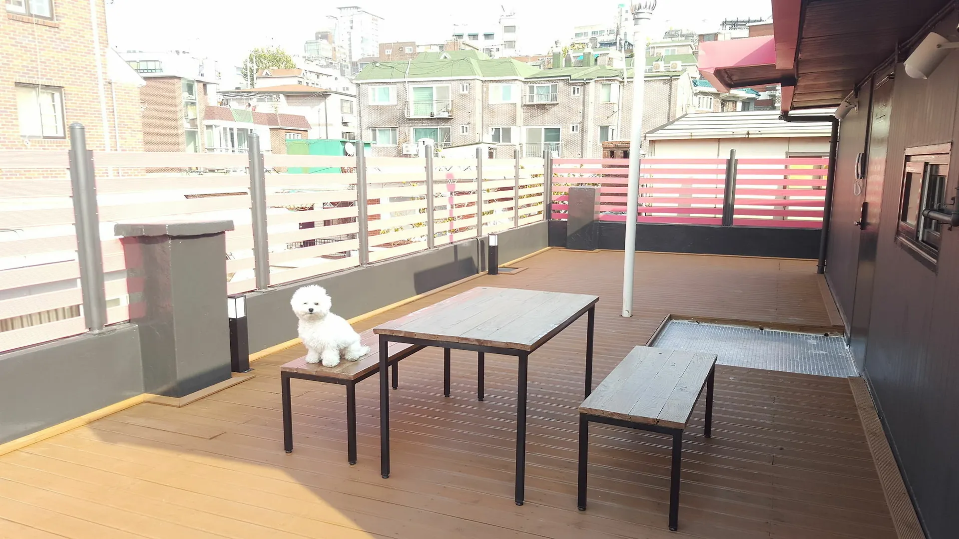 ** Pensionat Amazon Guesthouse Seoul Sydkorea