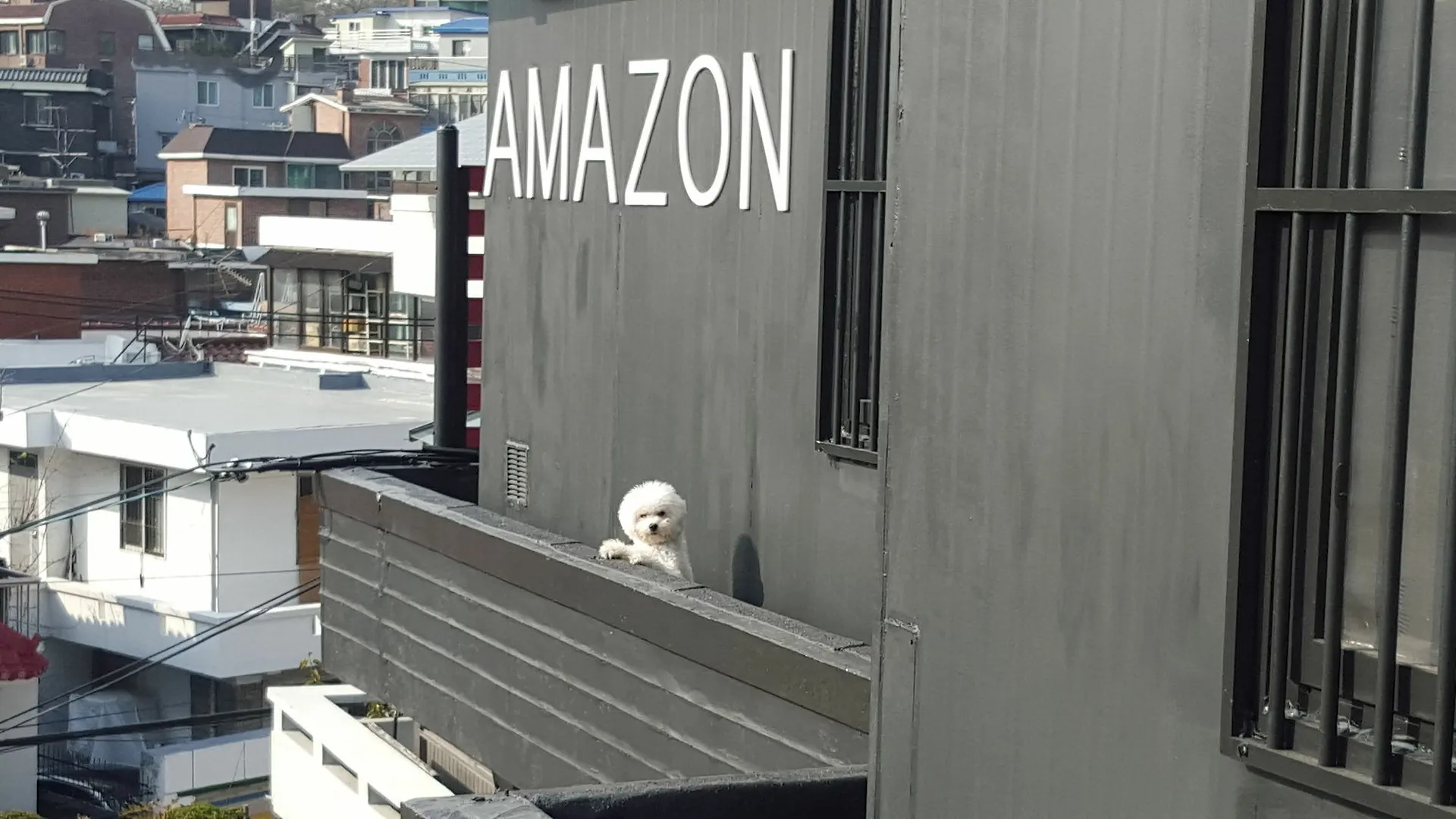 ** Pensionat Amazon Guesthouse Seoul Sydkorea